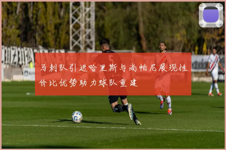 马刺队引进哈里斯与尚帕尼展现性价比优势助力球队重建